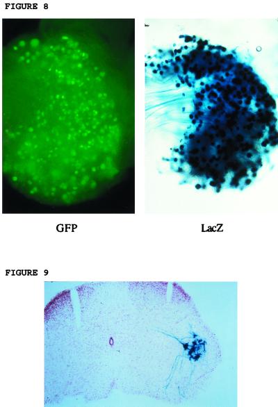 FIG. 8-9