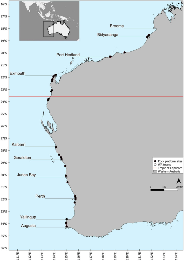 FIGURE 1