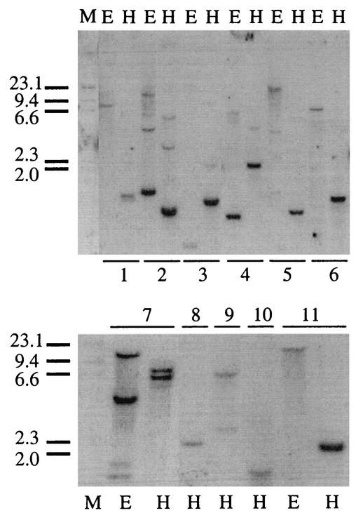 FIG. 6.