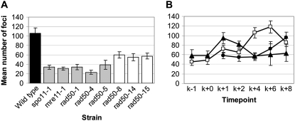 Figure 5.—