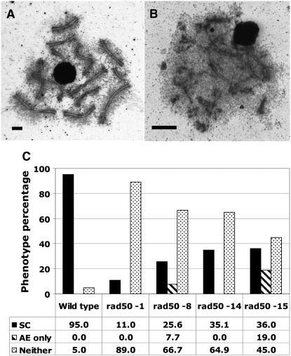 Figure 6.—