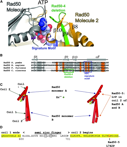 Figure 2.—