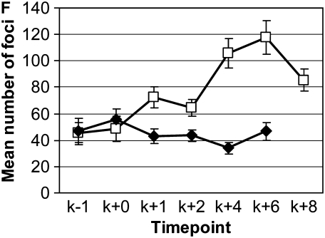 Figure 4.—