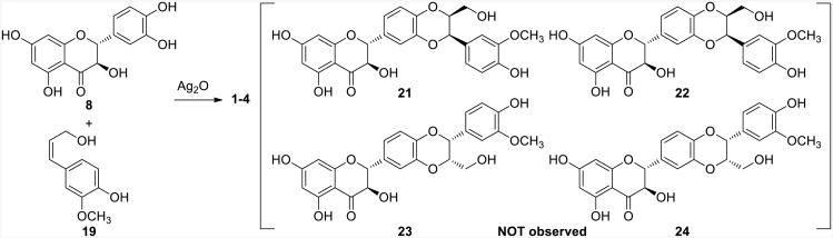 Scheme 3