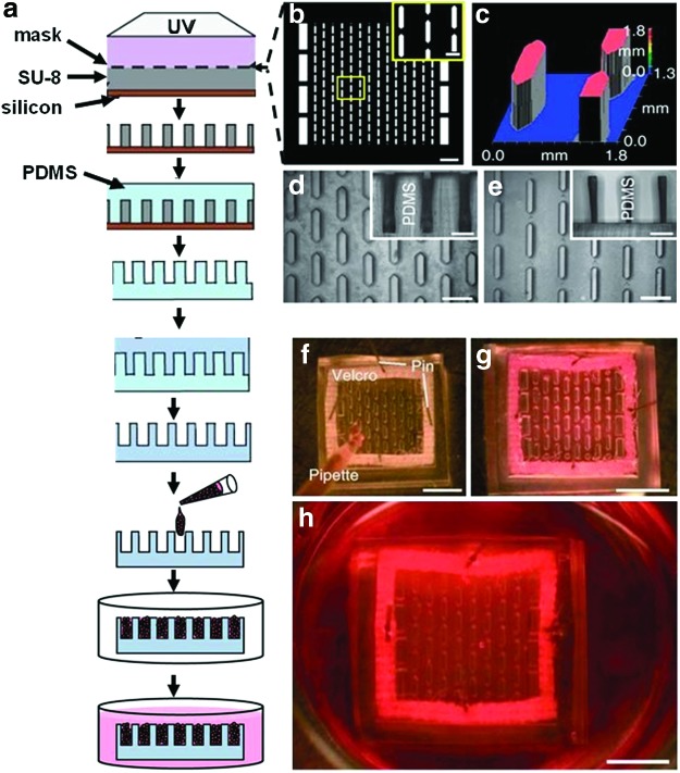 FIG. 6.