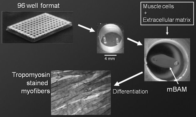 FIG. 17.