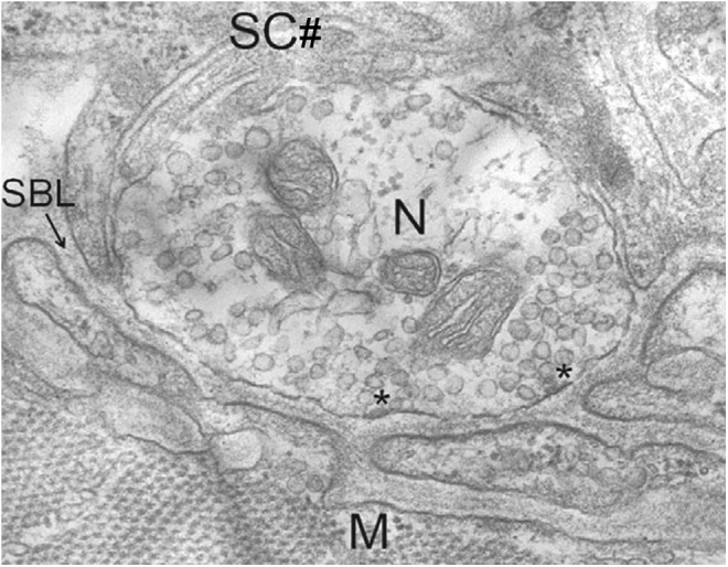 FIG. 16.