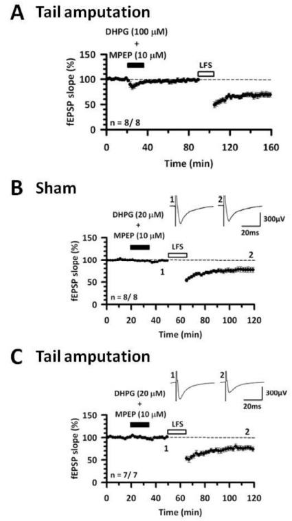 Fig. (2)