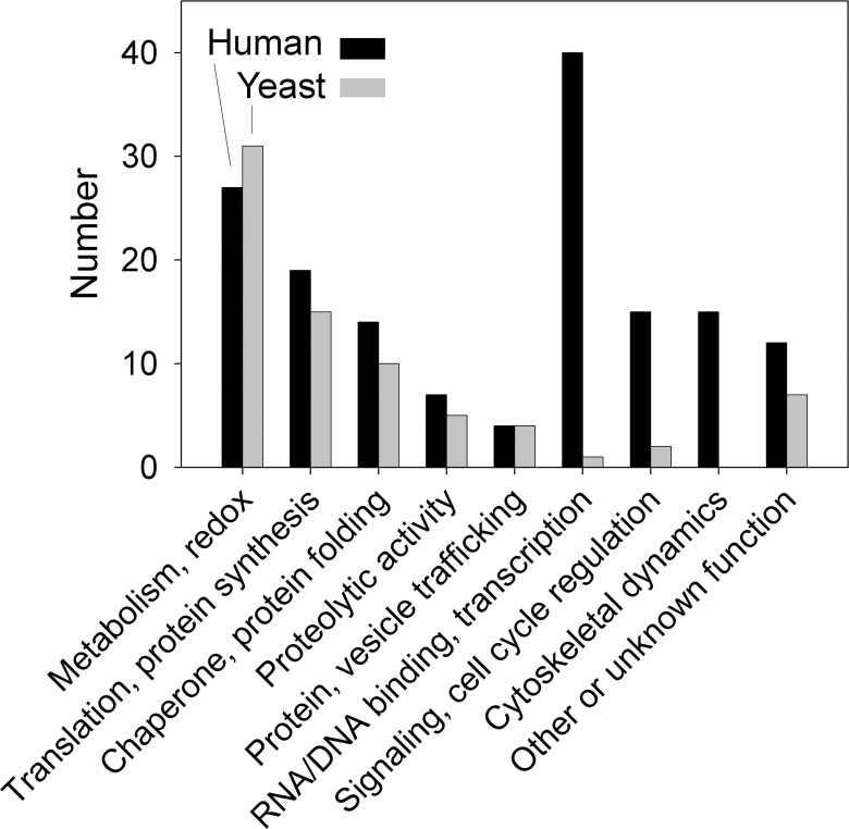 Fig 10