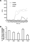 Figure 3.