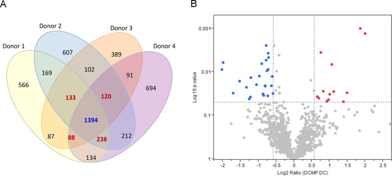 FIG 1