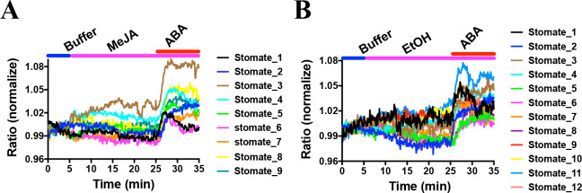 Figure 7.