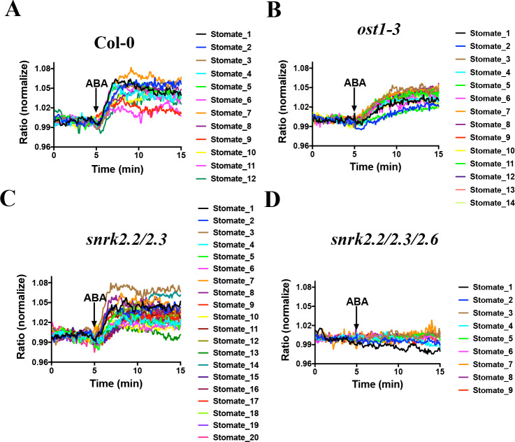 Figure 5.