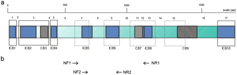 Fig. 1