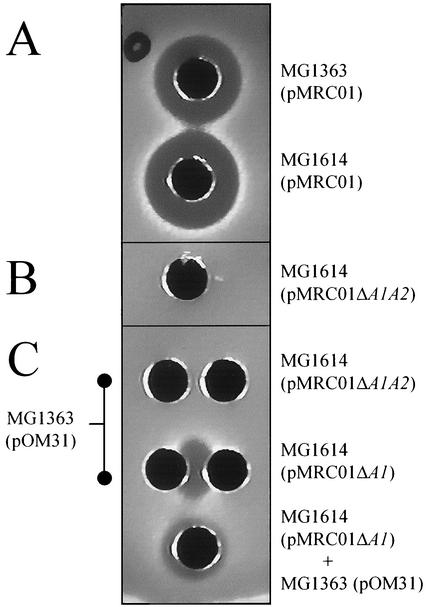 FIG. 2.