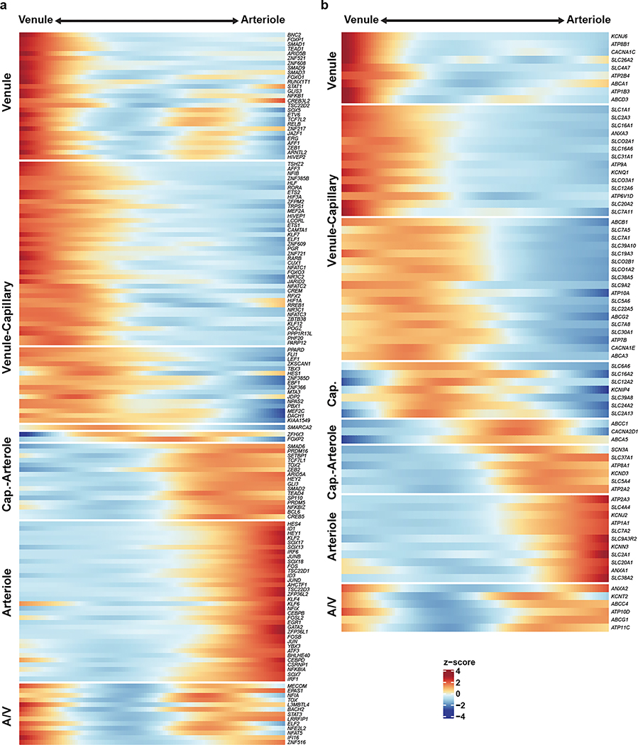 Extended Data Figure 4.