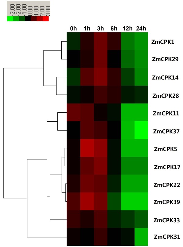 Figure 10