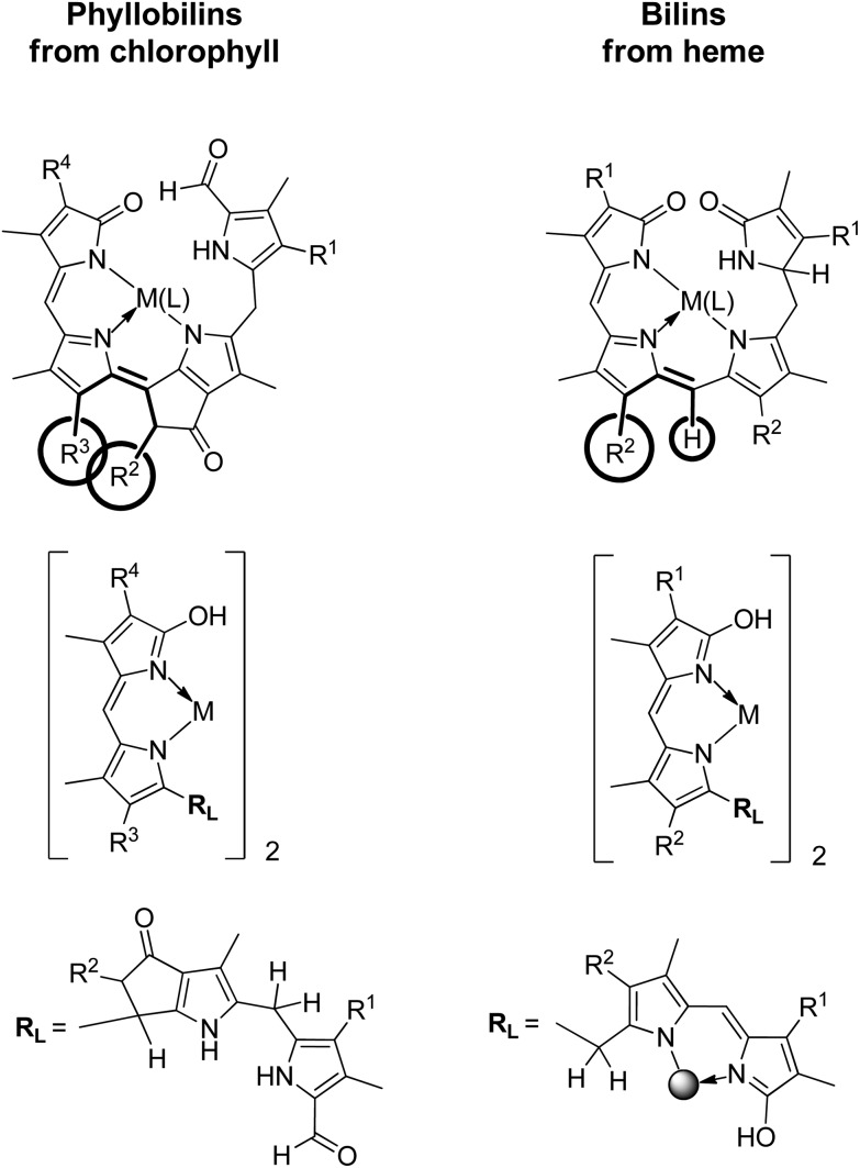 Fig. 16