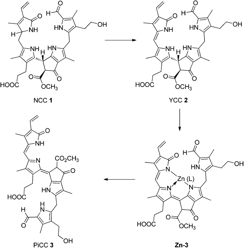 Fig. 2