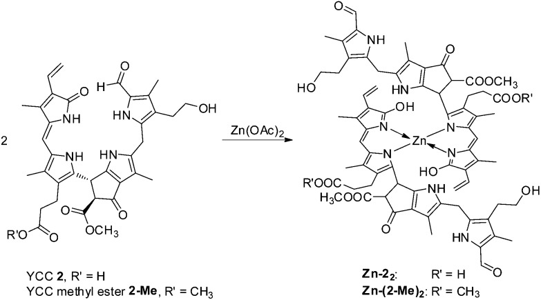 Fig. 12