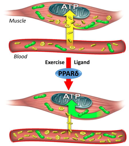 graphic file with name nihms868748u1.jpg