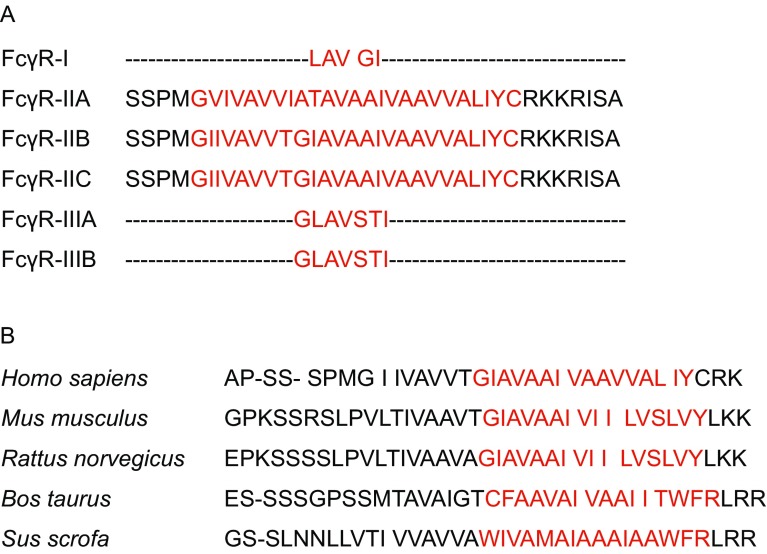 Figure 5