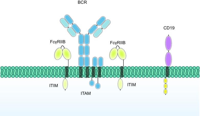 Figure 3