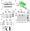 Fig 5