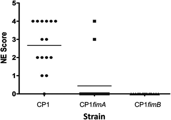 FIG 6