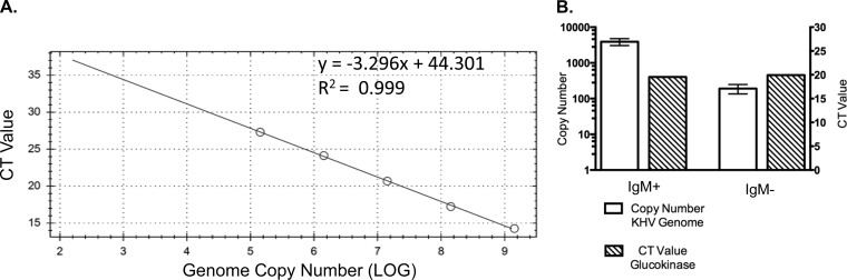 FIG 4