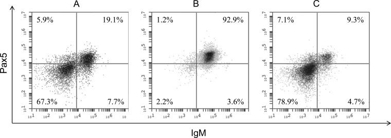 FIG 2