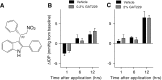 <b>FIG. 1.</b>