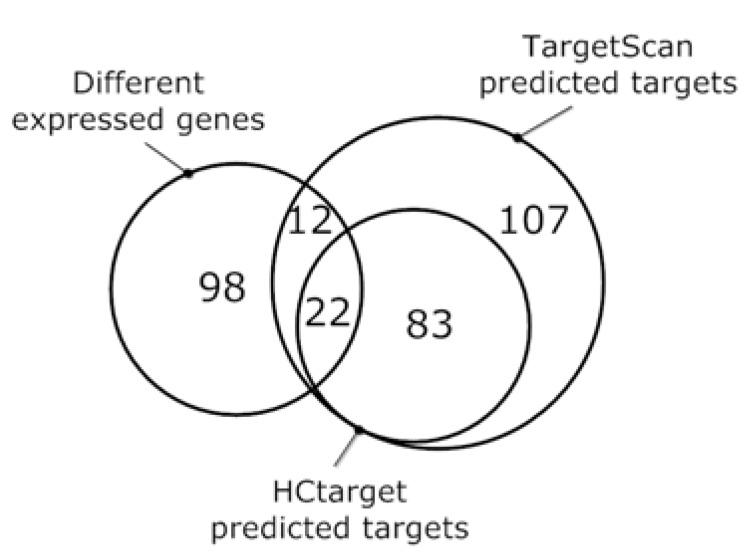 Integrative approaches for microrna target prediction combining