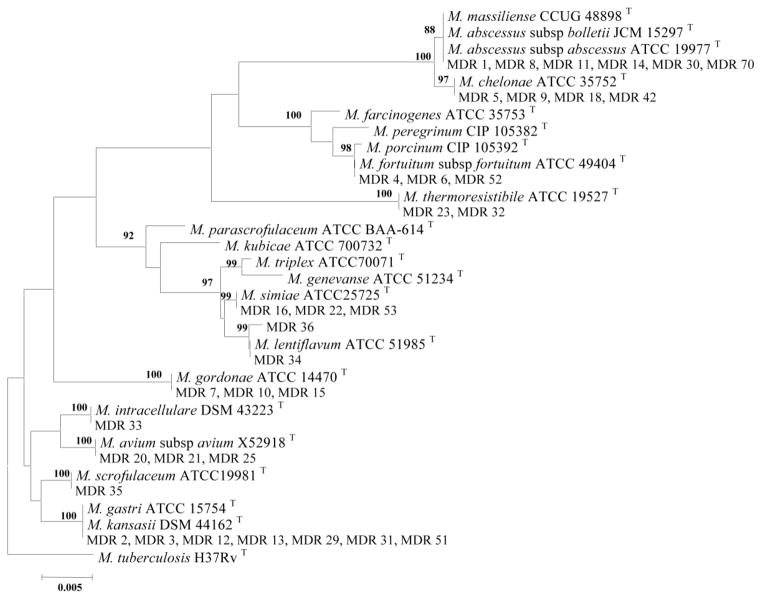 Figure 2