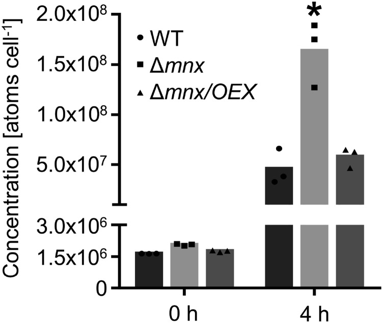 Figure 5.