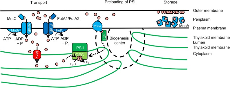 Figure 9.