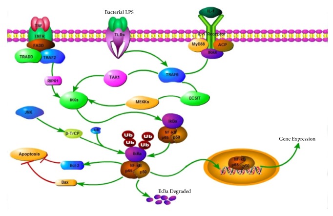 Figure 7