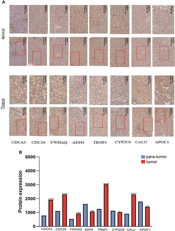 Figure 12