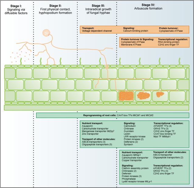 Figure 10.