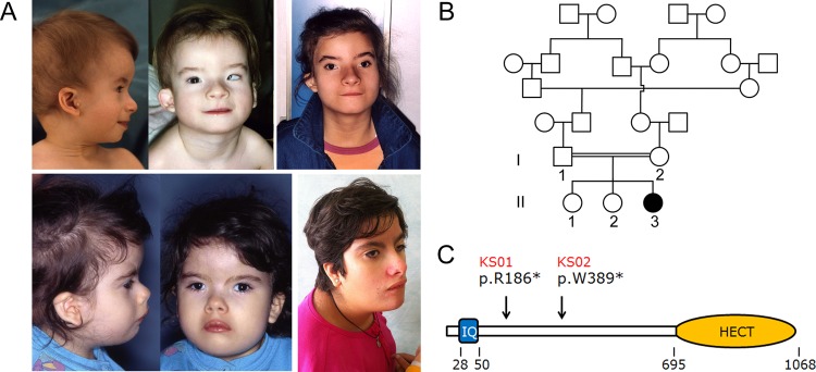 Figure 1