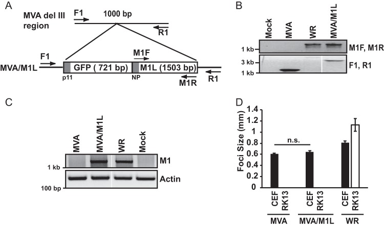 FIG 1