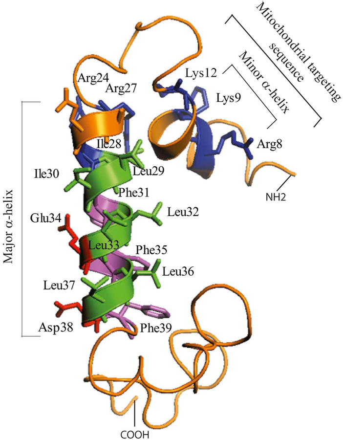 Fig. 3.