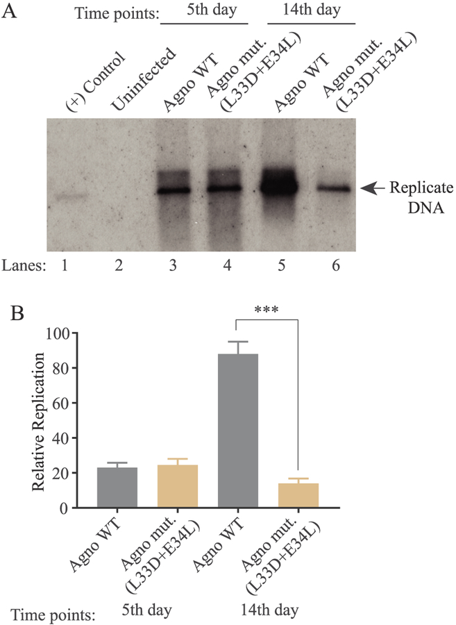 Fig. 9.