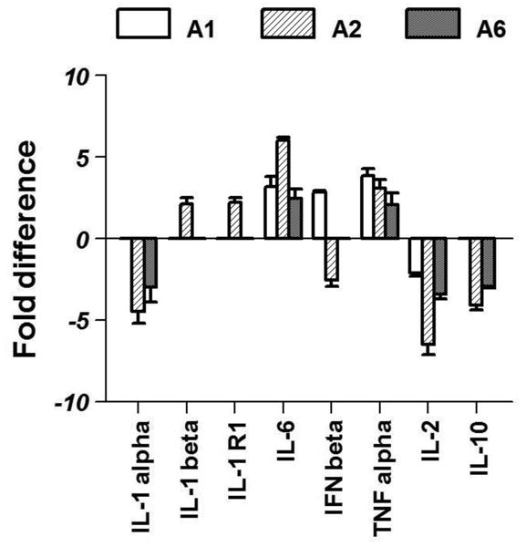 Fig 2