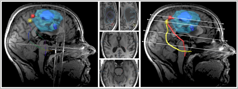 Fig. S1