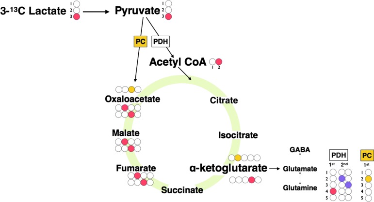 FIG. 1.