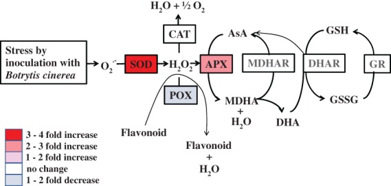 JSFA-9827-FIG-0003-c