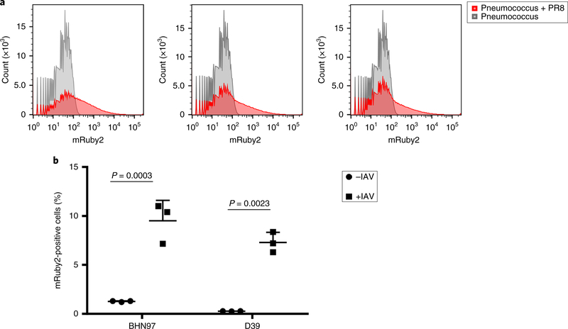 Fig. 2 |