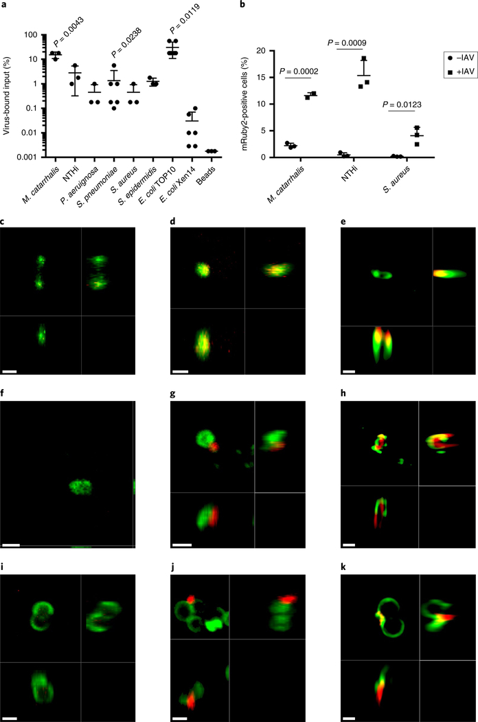 Fig. 4 |