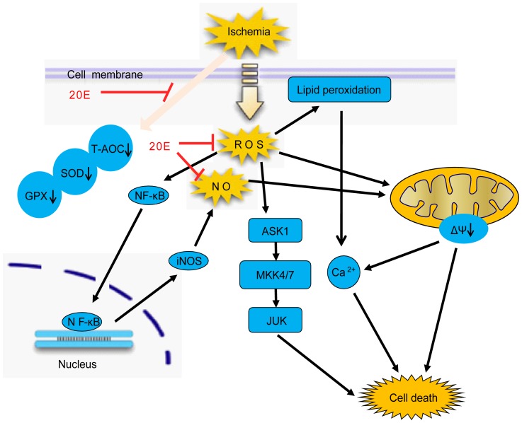 Figure 10